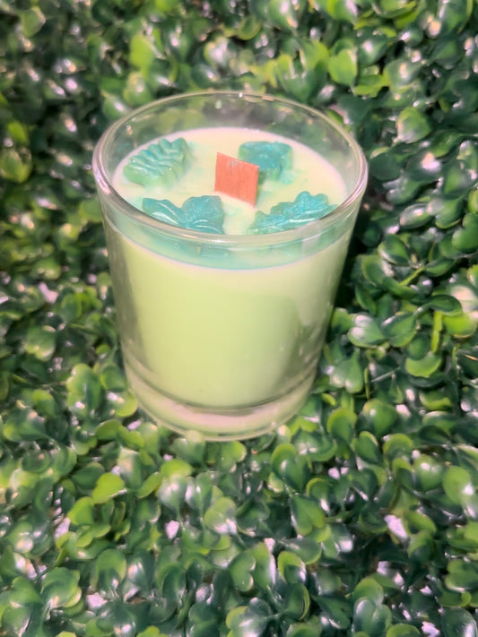 Eucalyptus & Spearmint Candle